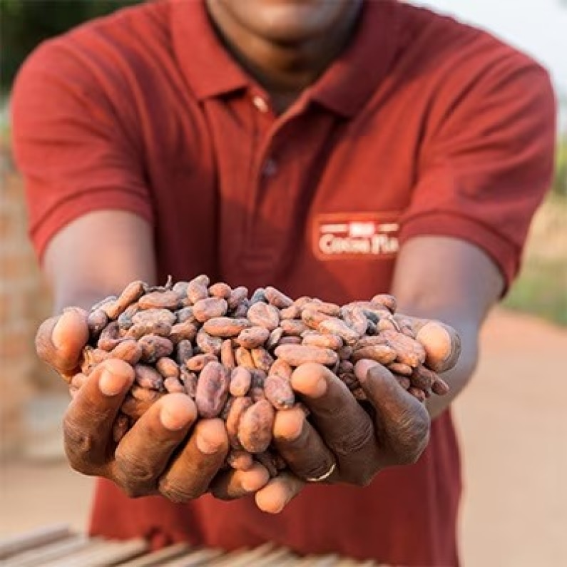 Man holding cocoa beans